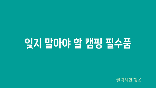 잊지 말아야 할 캠핑 필수품