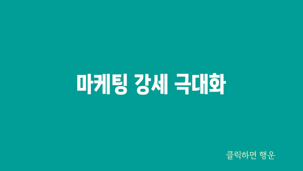 마케팅 강세 극대화