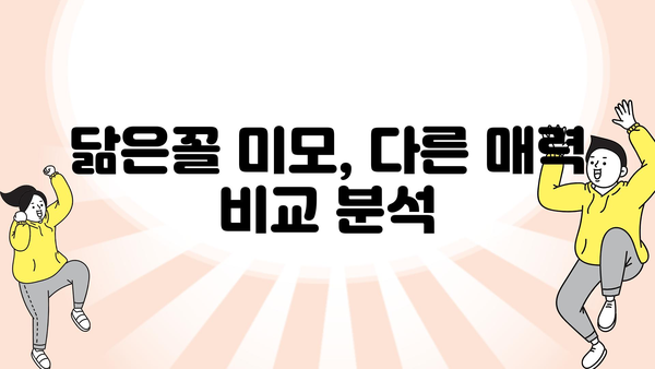 닮은꼴 미모, 다른 매력 비교 분석