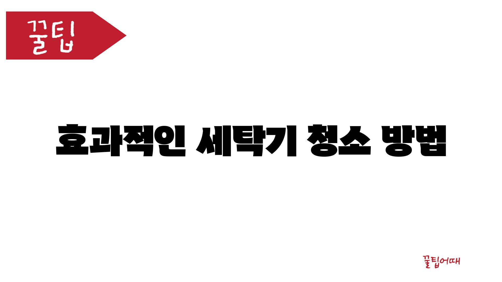 효과적인 세탁기 청소 방법