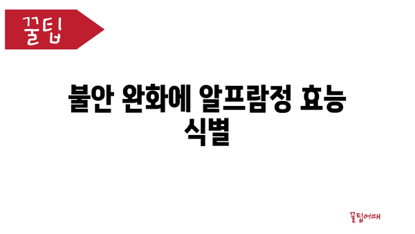 불안 완화에 알프람정 효능 식별