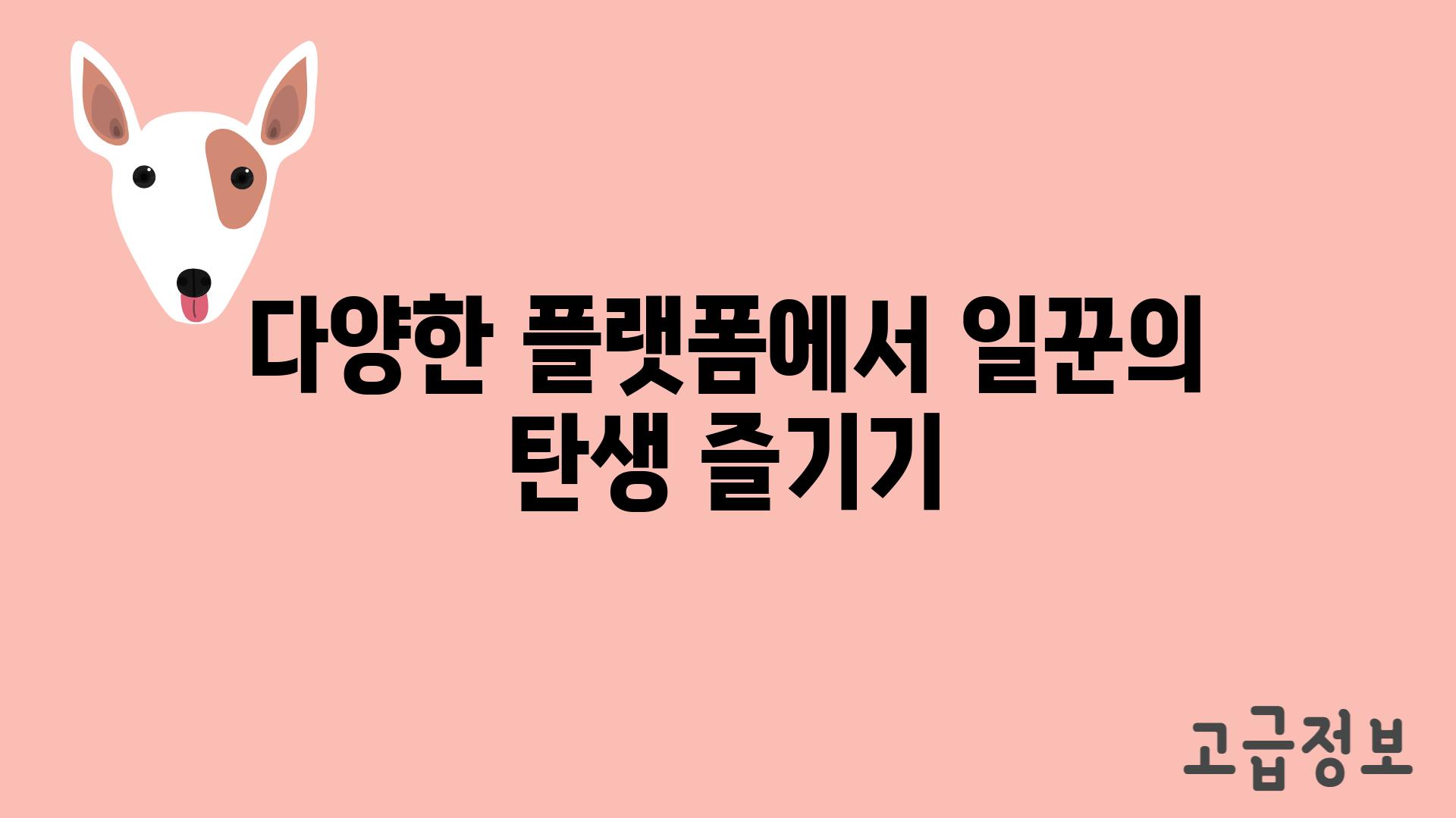 다양한 플랫폼에서 일꾼의 탄생 즐기기