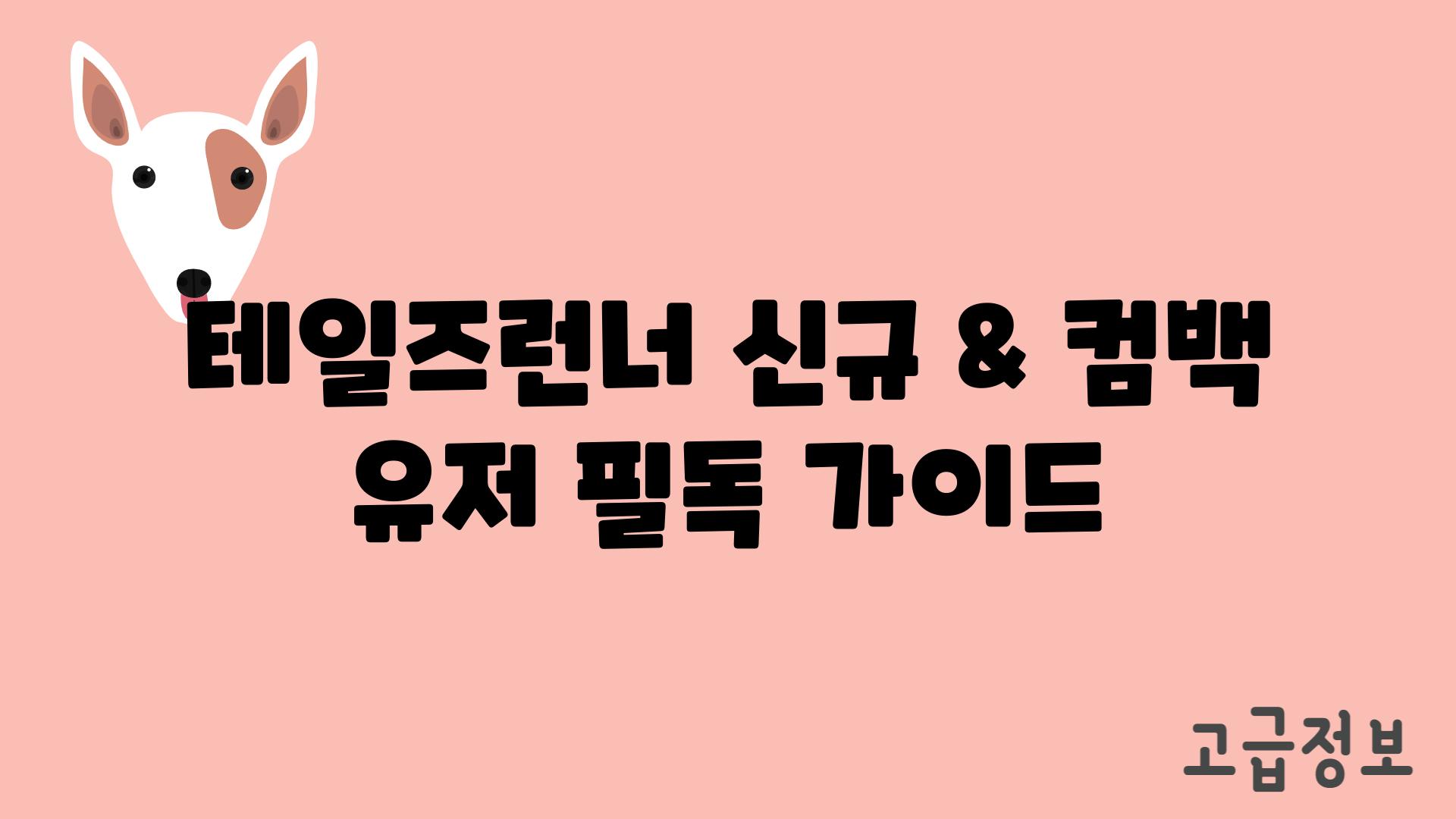 테일즈런너 신규 & 컴백 유저 필독 가이드