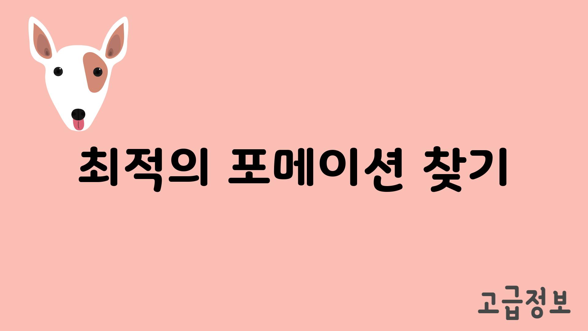 최적의 포메이션 찾기