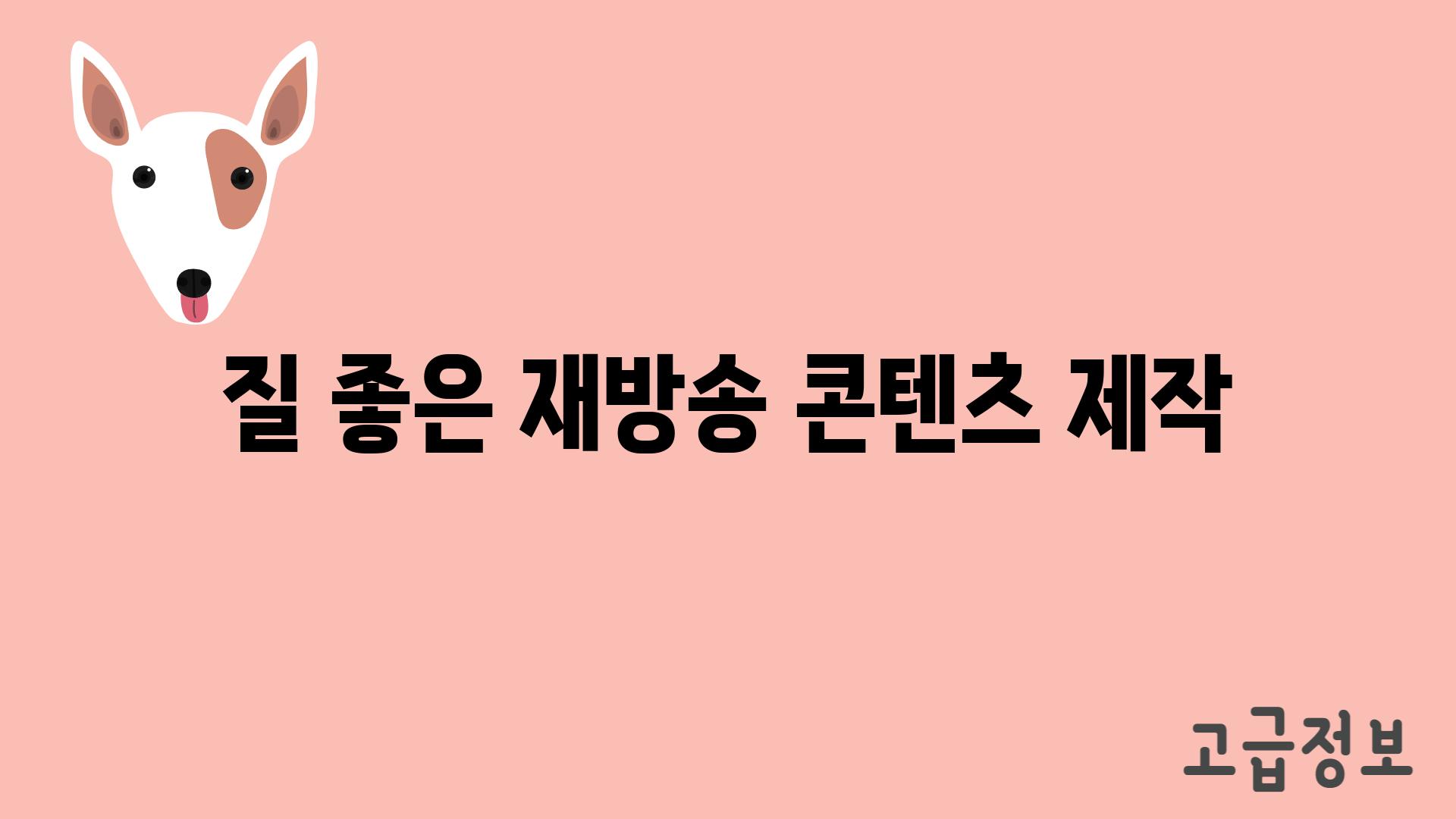 질 좋은 재방송 콘텐츠 제작