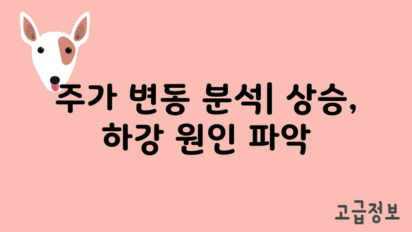 주가 변동 분석| 상승, 하강 원인 파악