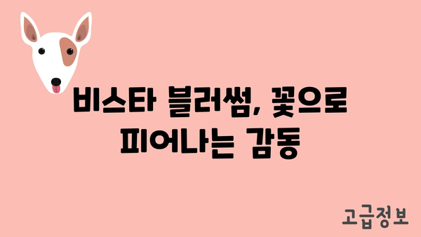 비스타 블러썸, 꽃으로 피어나는 감동