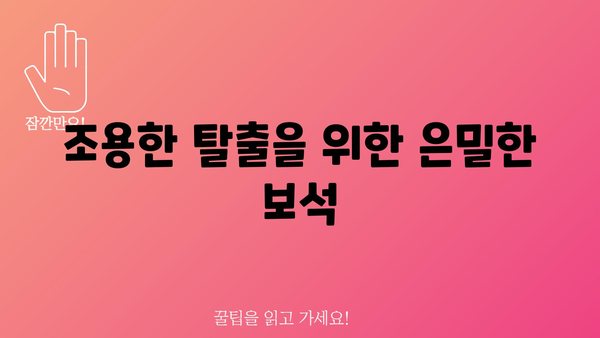 조용한 탈출을 위한 은밀한 보석