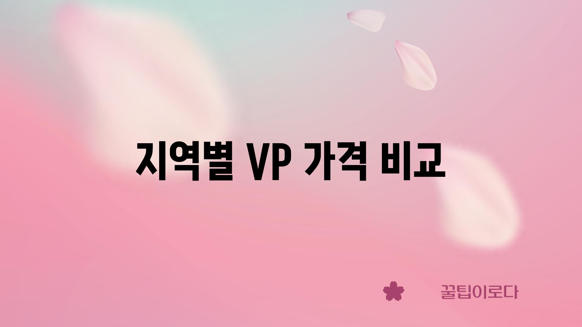 지역별 VP 가격 비교