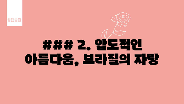 ### 2. 압도적인 아름다움, 브라질의 자랑