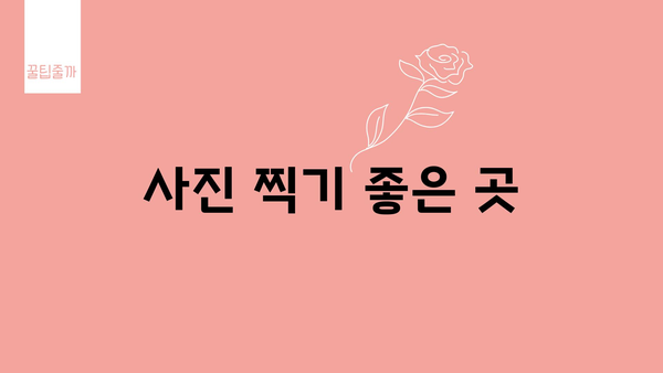 사진 찍기 좋은 곳