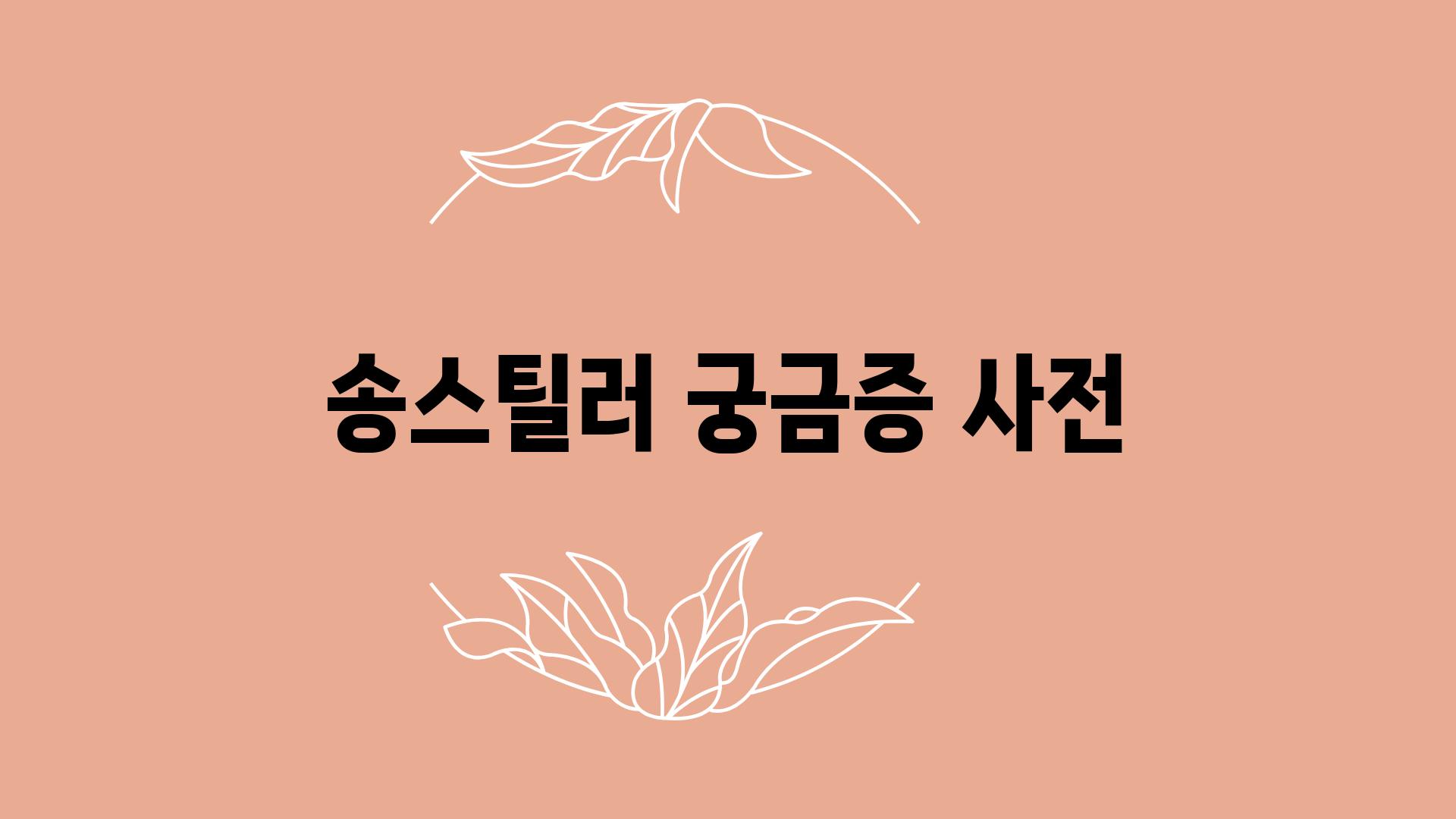 송스틸러 궁금증 사전