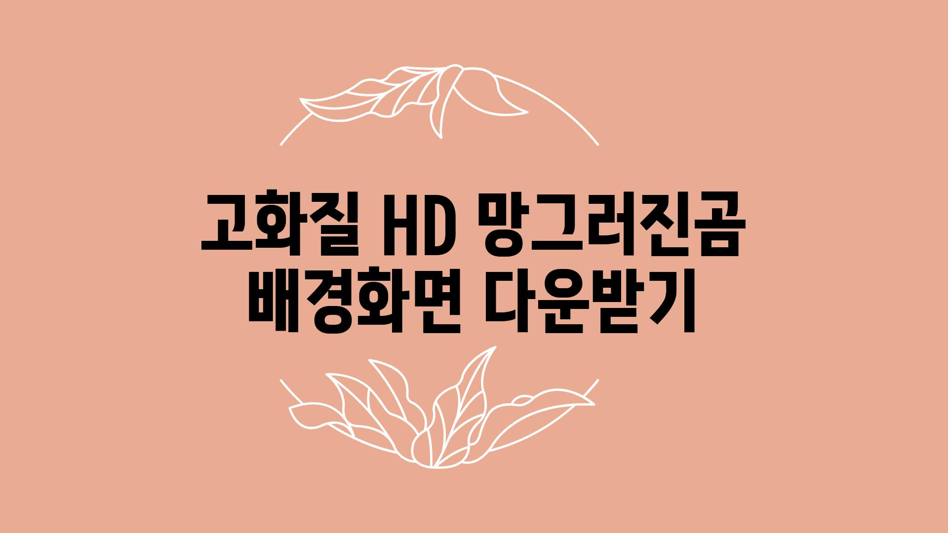 고화질 HD 망그러진곰 배경화면 다운받기