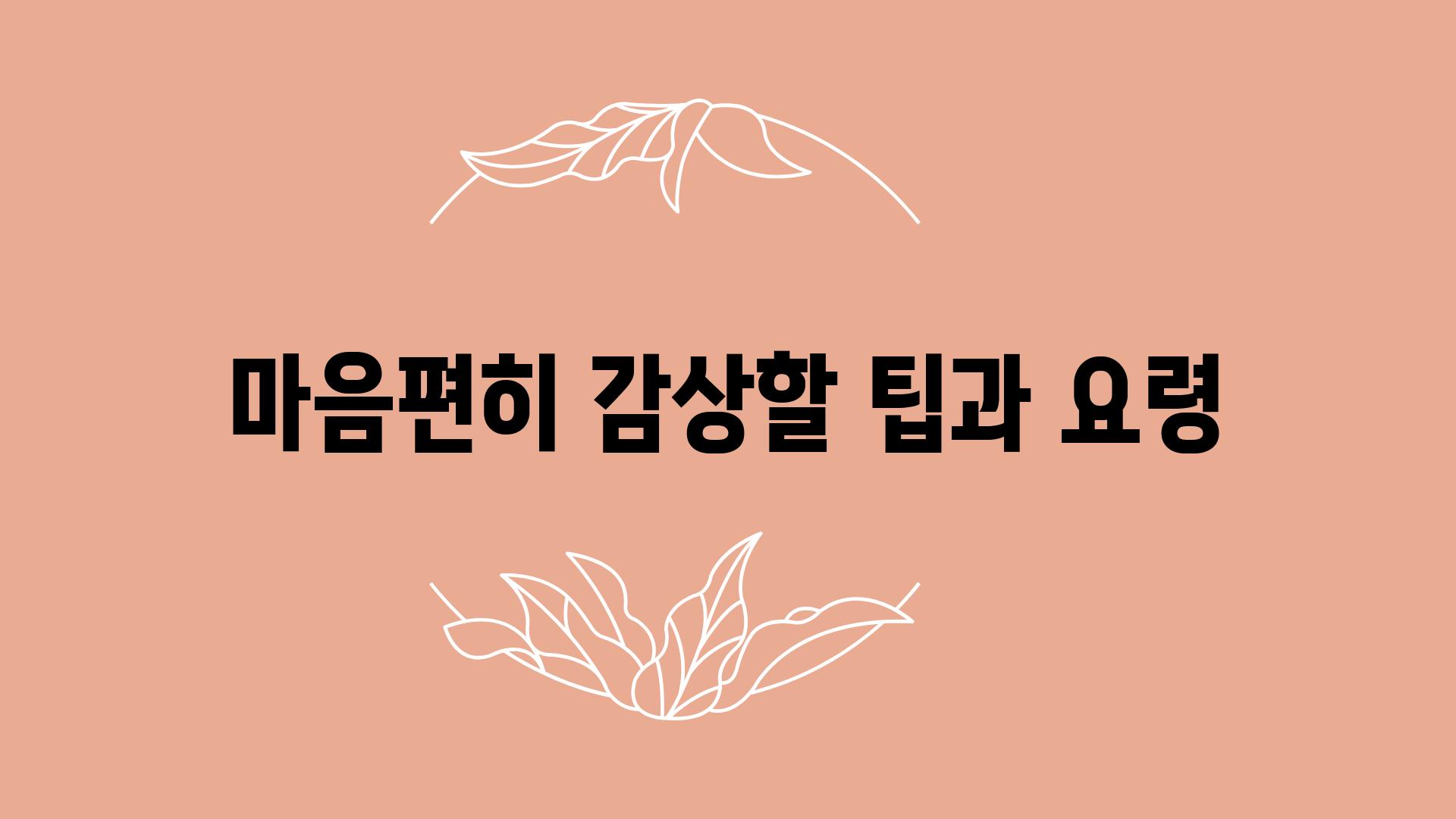 마음편히 감상할 팁과 요령