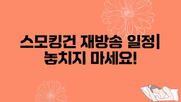 스모킹건 재방송 일정| 놓치지 마세요!