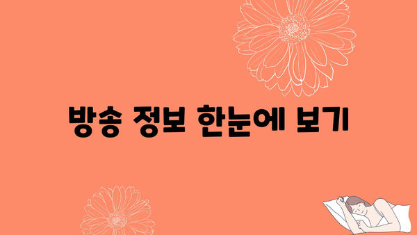 방송 정보 한눈에 보기