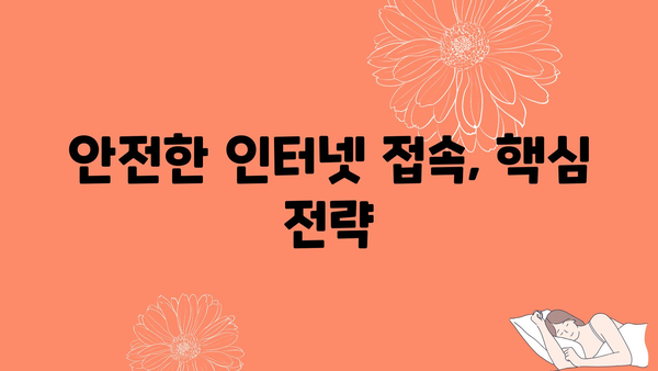 안전한 인터넷 접속, 핵심 전략