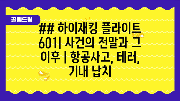 ## 하이재킹 플라이트 601| 사건의 전말과 그 이후 | 항공사고, 테러, 기내 납치