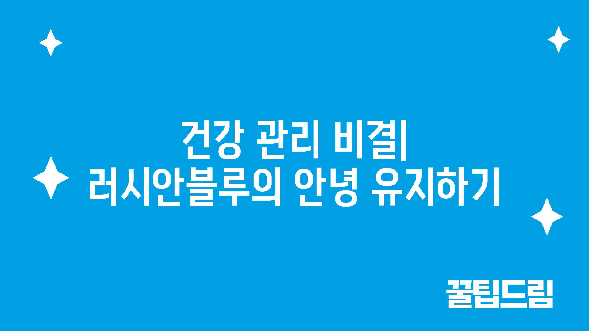 건강 관리 비결| 러시안블루의 안녕 유지하기