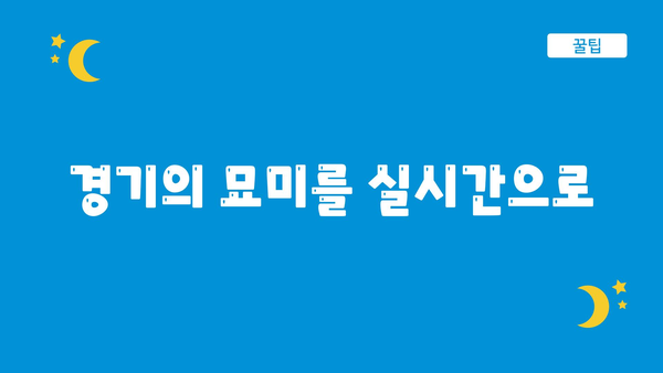 경기의 묘미를 실시간으로