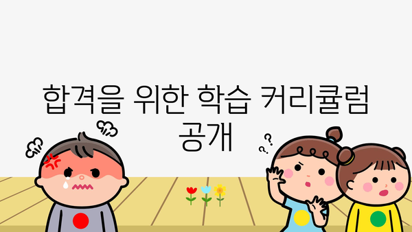 합격을 위한 학습 커리큘럼 공개