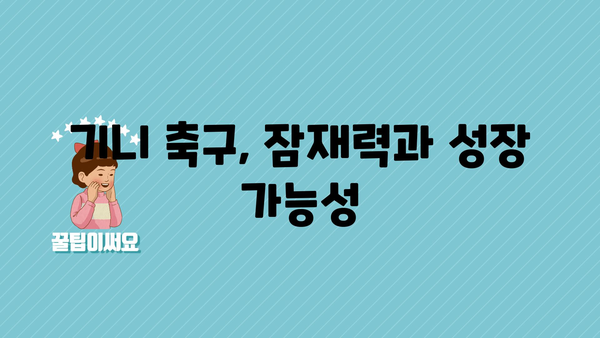 기니 축구, 잠재력과 성장 가능성