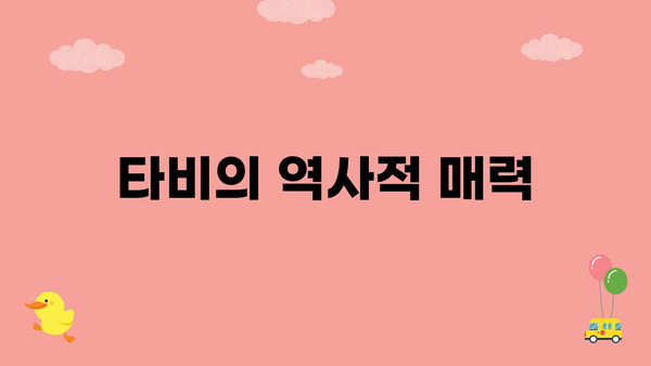 타비의 역사적 매력