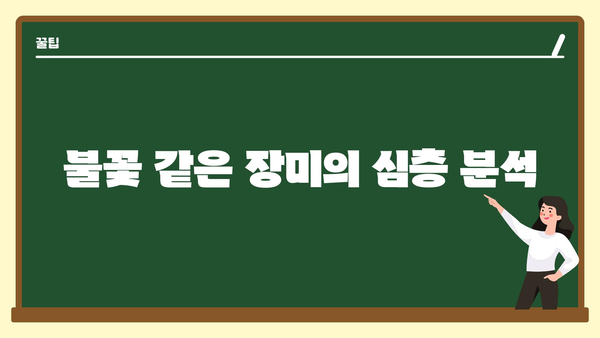 불꽃 같은 장미의 심층 분석