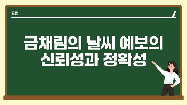 금채림의 날씨 예보의 신뢰성과 정확성