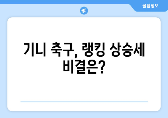 기니 축구, 랭킹 상승세 비결은?