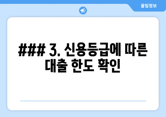 ### 3. 신용등급에 따른 대출 한도 확인