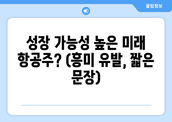 성장 가능성 높은 미래 항공주? (흥미 유발, 짧은 문장)