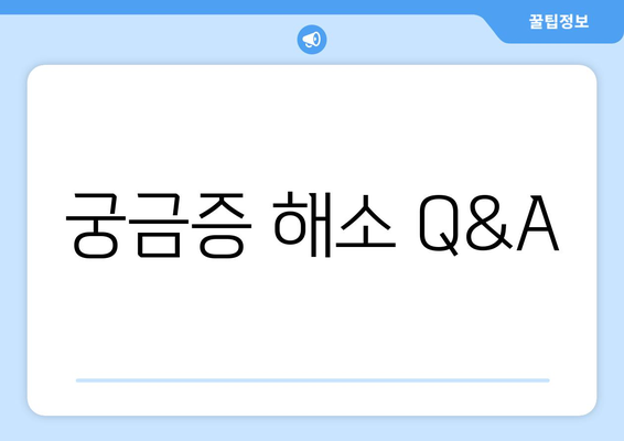 궁금증 해소 Q&A