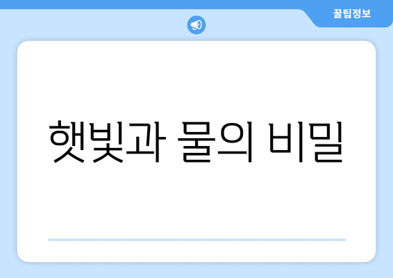 햇빛과 물의 비밀