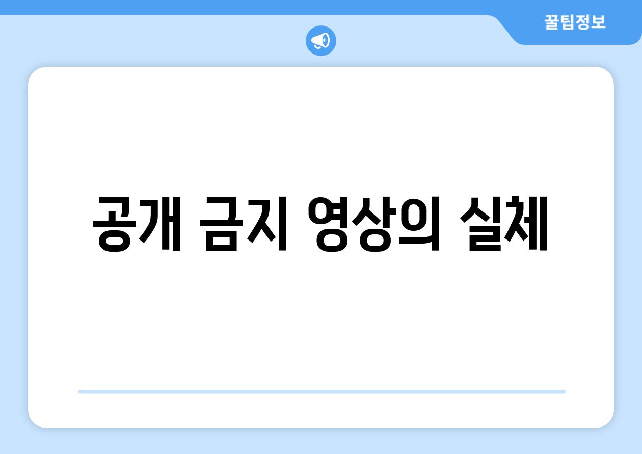 공개 금지 영상의 실체