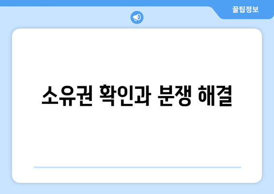 소유권 확인과 분쟁 해결