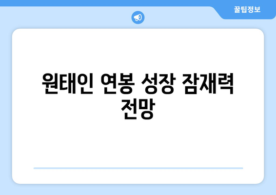 원태인 연봉 성장 잠재력 전망