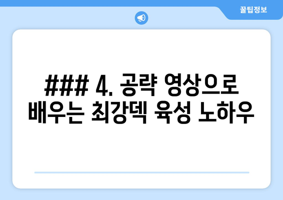 ### 4. 공략 영상으로 배우는 최강덱 육성 노하우