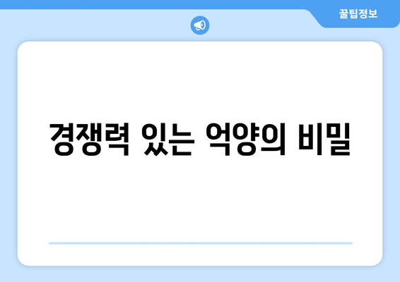 경쟁력 있는 억양의 비밀