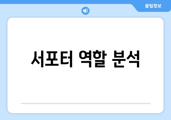 서포터 역할 분석