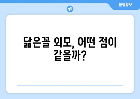 닮은꼴 외모, 어떤 점이 같을까?