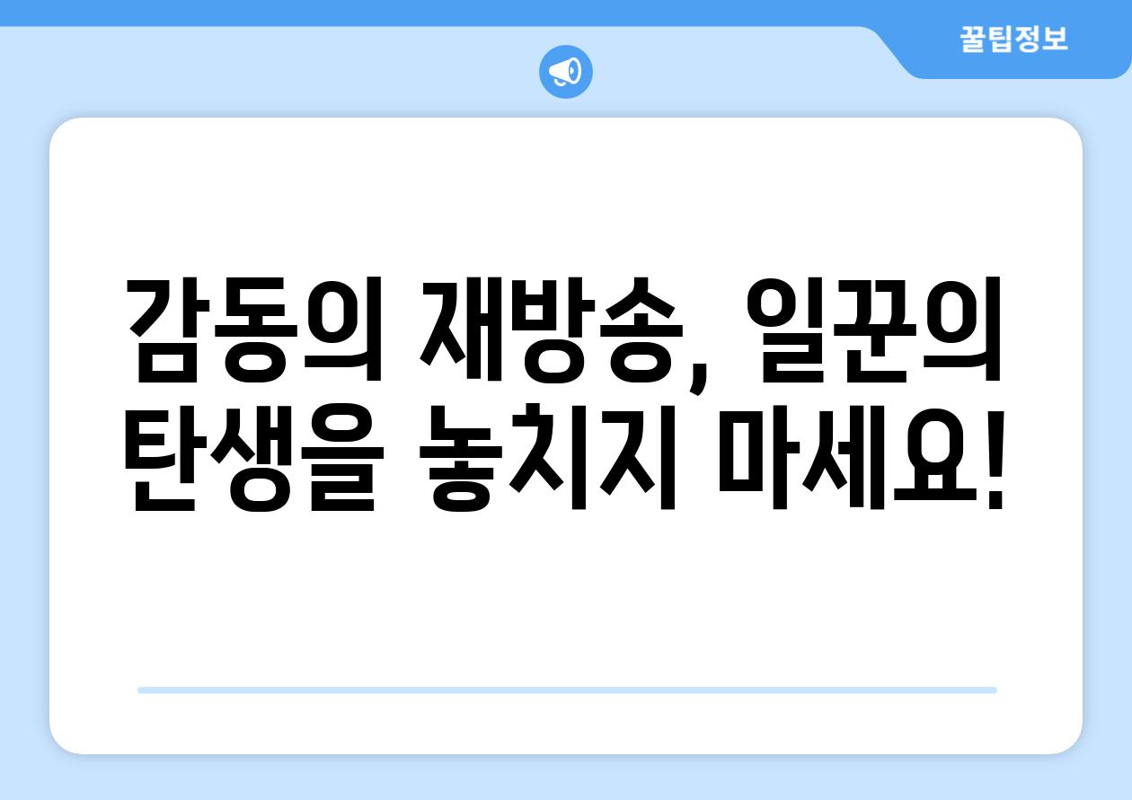 감동의 재방송, 일꾼의 탄생을 놓치지 마세요!