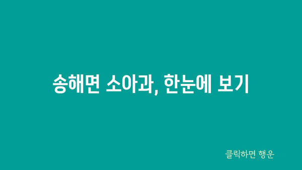 송해면 소아과, 한눈에 보기