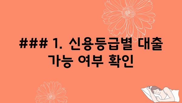 ### 1. 신용등급별 대출 가능 여부 확인