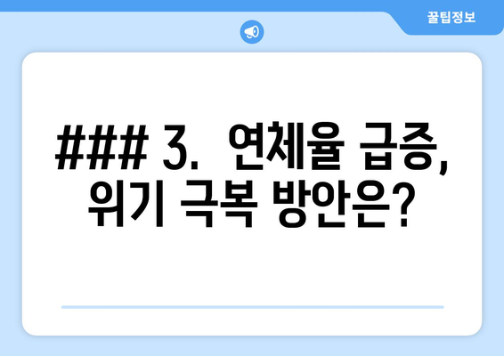 ### 3.  연체율 급증, 위기 극복 방안은?