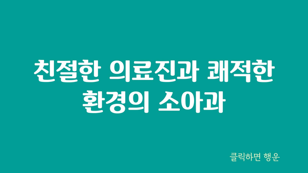 대전시 서구 내동 소아과 위치 정보