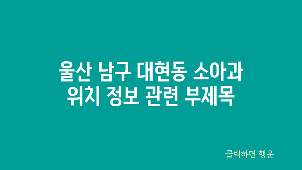 울산시 남구 대현동 소아과 위치 정보