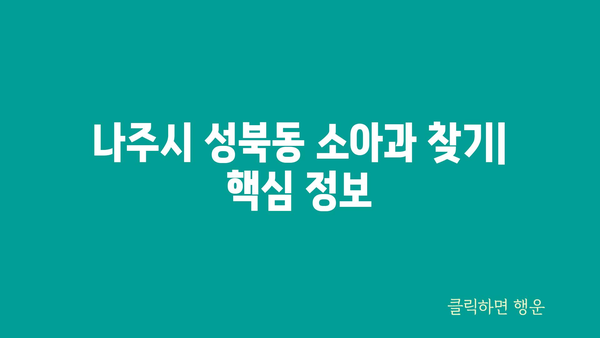 전라남도 나주시 성북동 소아과 위치 정보