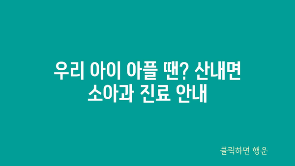 전라북도 남원시 산내면 소아과 위치 정보