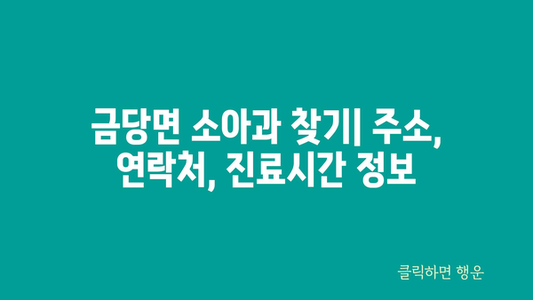 전라남도 완도군 금당면 소아과 위치 정보